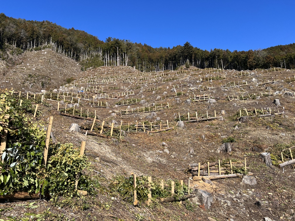 地拵え